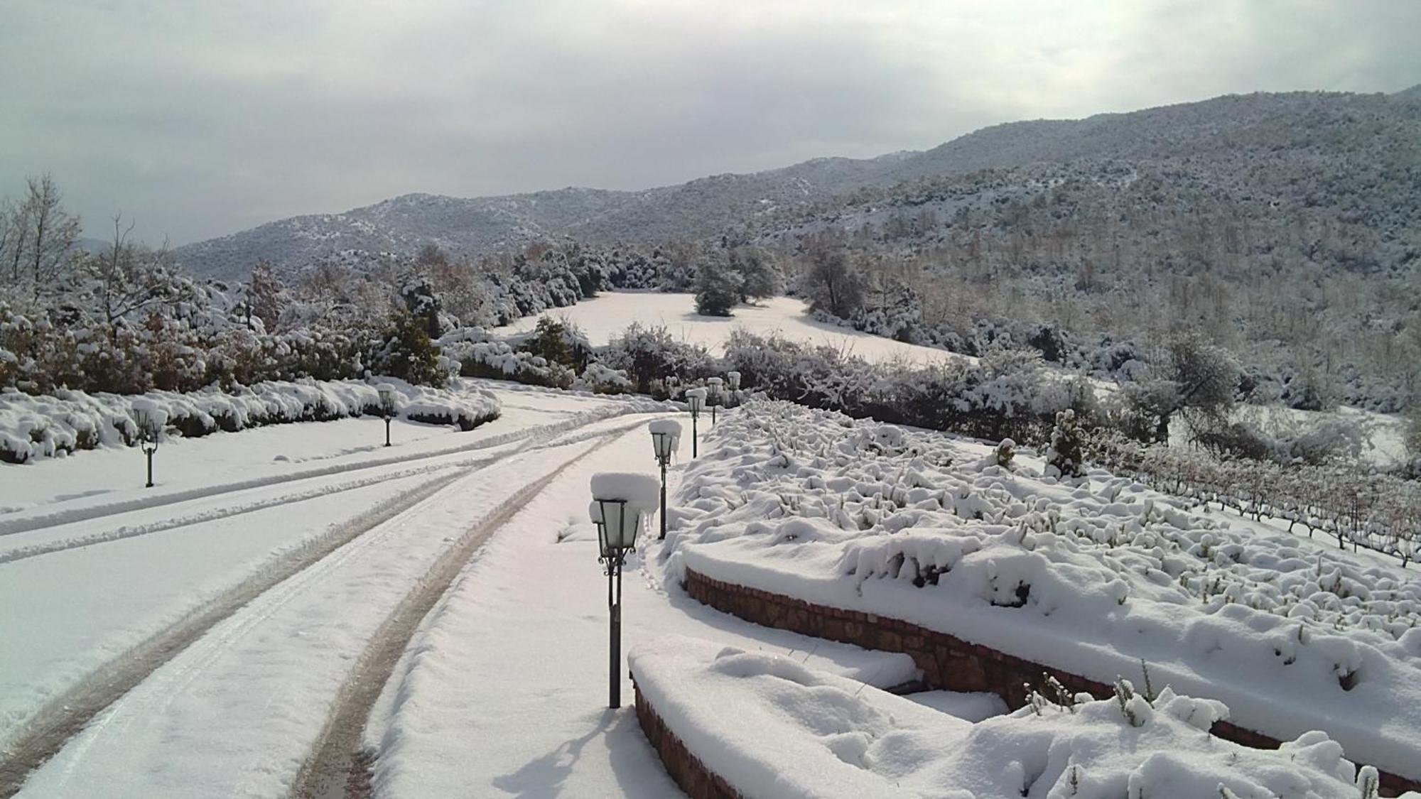 Estate Kalaitzis Ξενοδοχείο Βεργίνα Εξωτερικό φωτογραφία
